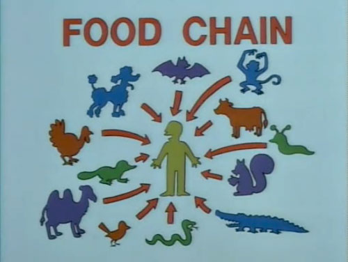 animal food chain pictures. (I feel that